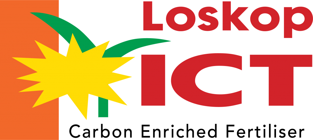 Loskop ICT Logo